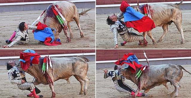 montaje_toros_interior--647x334