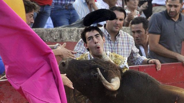 saul cornada barbilla