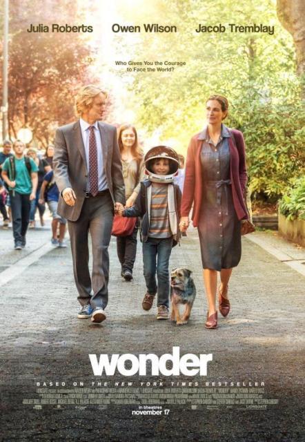 wonder-474297056-large