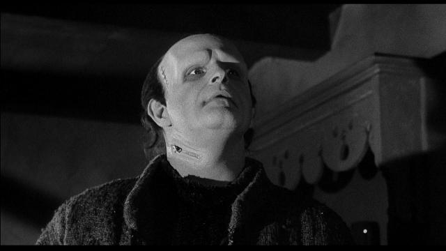 young_frankenstein-111302530-large - copia