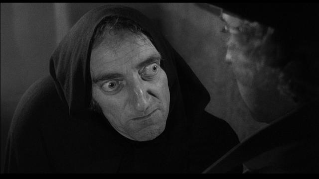 young_frankenstein-495985840-large - copia